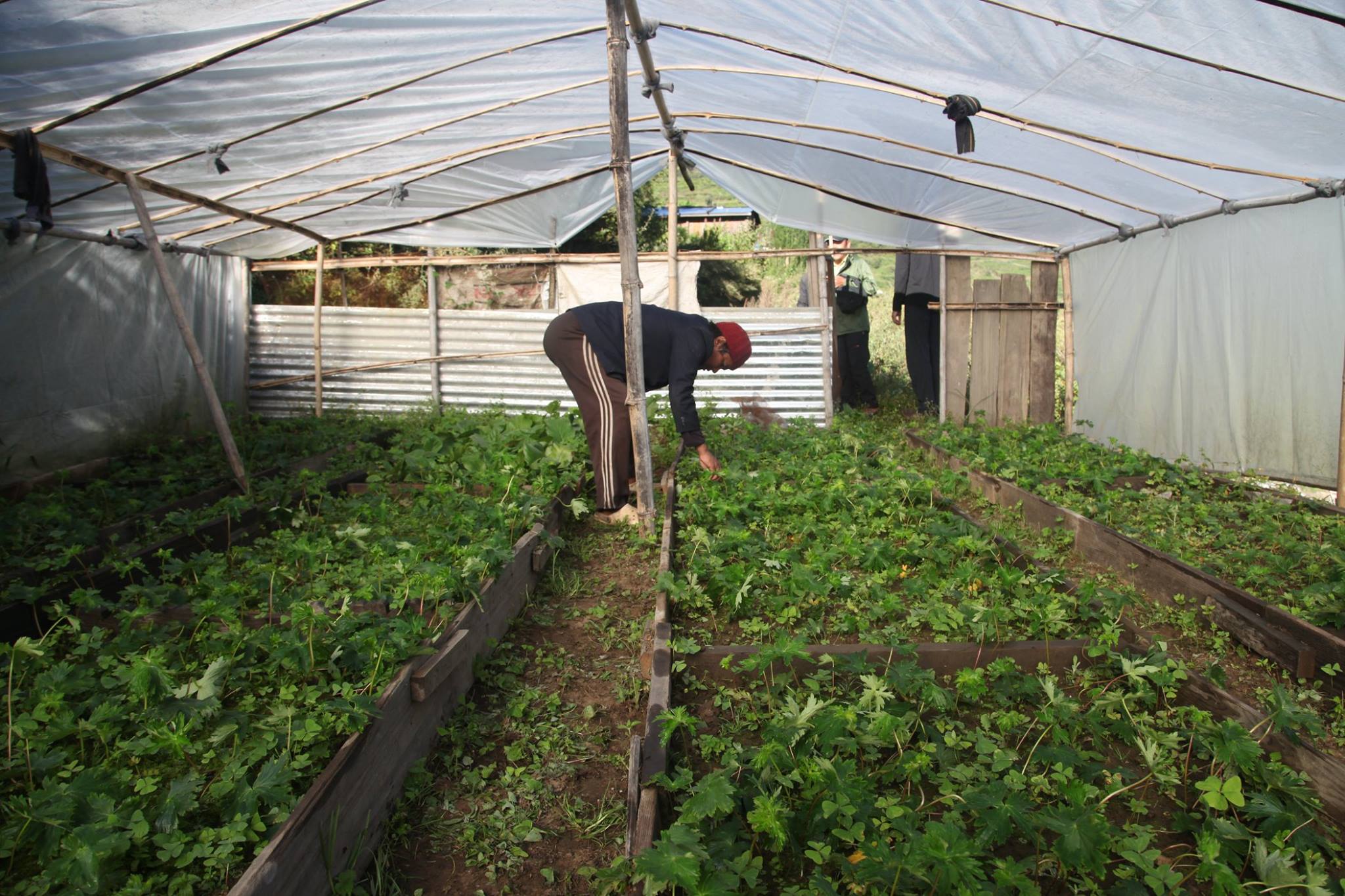 Agriculture